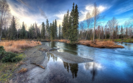 forest lake - fun, nature, lake, forest, cool