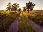 road to a sunset