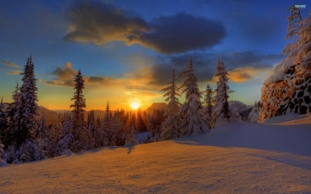 winter sunset - nature, fun, cool, winter, sunset