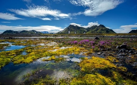 wonderful view - lake, cool, flowers, fun, nature, mountain