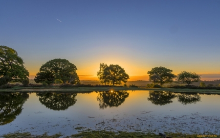 Trees by Lake at Sunset - summer, lake, sunset, trees