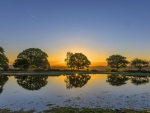 Trees by Lake at Sunset