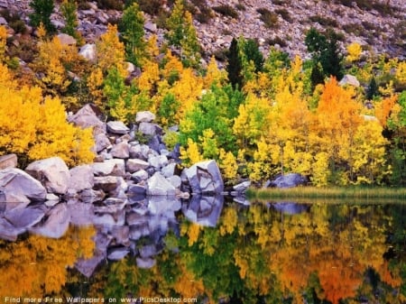 Shoreline Beauty - trees, stone, shoreline, forest, reflection, nature, mirror, autumn, lake