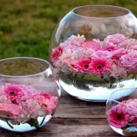 Flowers in Jars