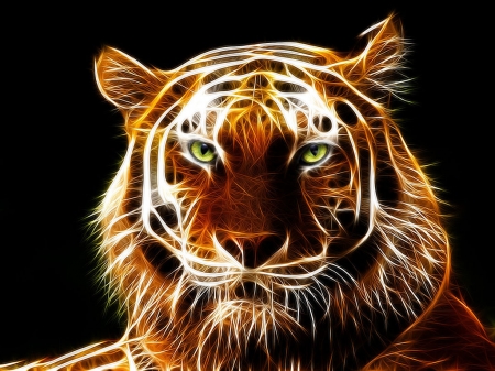 Tiger - Other & Animals Background Wallpapers on Desktop Nexus (Image ...