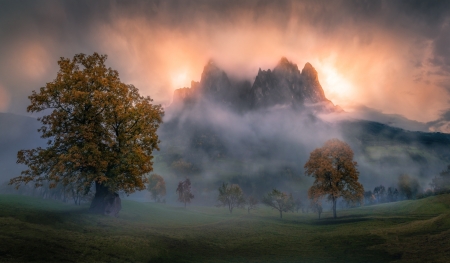 Mountain - nature, sky, mountain, fog, tree