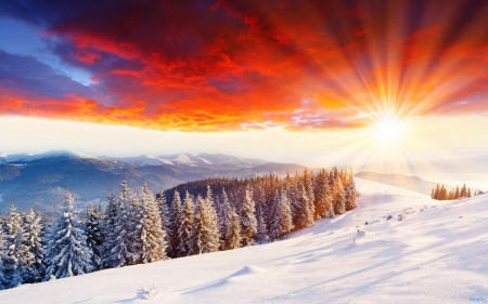 Winter Landscape - sky, landscape, trees, winter, sunset, nature, clouds, snow, lights