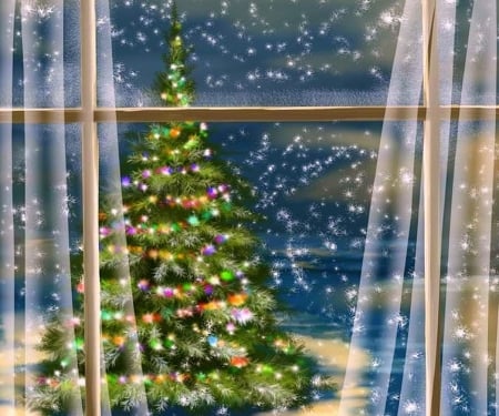 Christmas Night - Christmas Tree, winter, attractions in dreams, window, snow, holidays, xmas and new year, ornaments, Christmas, love four seasons