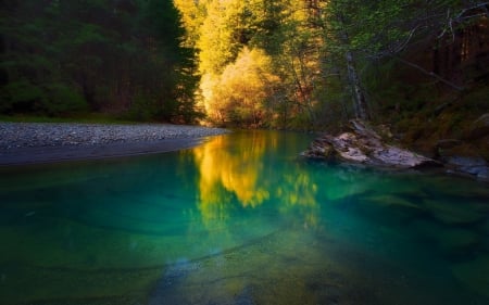 Pond - Pond, nature, lake, tree, sky