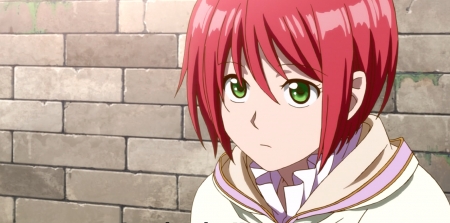 Shirayuki - independent, sweet, red hair, green eyes