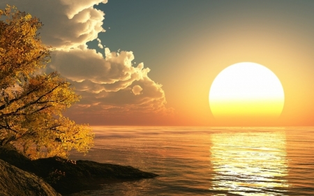 Sun Rise - bright, water, moring, yellow, rise, trees, nature, sun