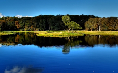 Beautiful Lake - trees, mirror, lake, forest, reflection, natuure, sky