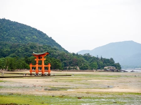 Itsukushima Shrine - shrine, hiroshima, itsukushima, Japan