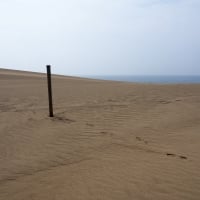 Tottori Sand Dunes