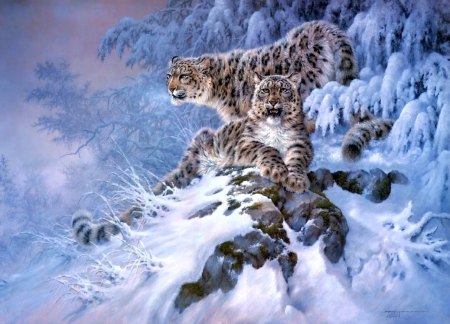 Snow leopards - winter, blue, snow, pictura, white, animal, painting, snow leopard, couple, art, luminos