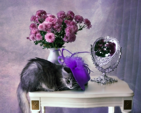 Purple hat - flower, funny, purple, animal, mirror, pink, cute, cat, daykiney, white, pisica, room, hat, table