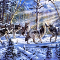 Wolves