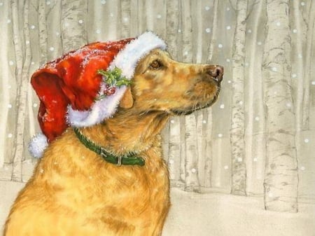 Labrador Christmas - winter, lab, hat, dog