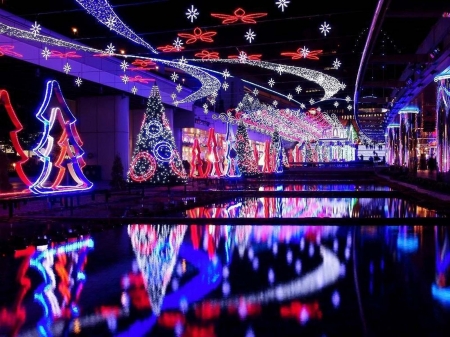 Neon Christmas - trees, holiday, lights, Winter, Christmas, reflection