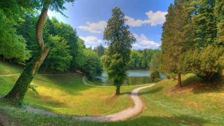 at the park - lake, cool, field, fun, nature