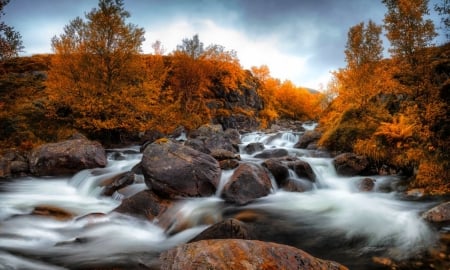 ♥ - water, nature, waterfall, flowing