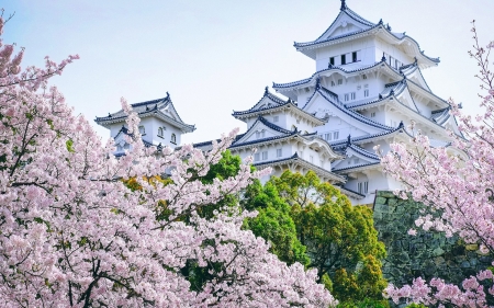 Japanese Castle - Cherry Blossoms - trees, cherry blossoms, castles, landscape, architecture, japanese