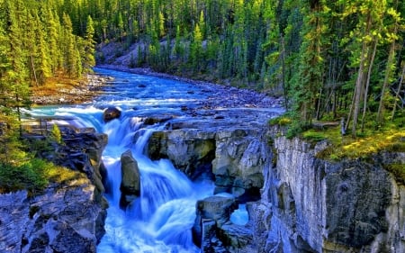 Forest Falls - trees, nature, waterfall, falls, forest, rocks