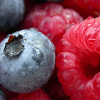 Blueberries and Raspberries