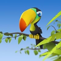 Toucan