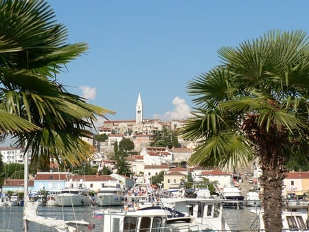 istrian village 2 - istria, palms, water, town, coast, europe, druffix, beach, cityscape, palm, village, boats, view, croatia