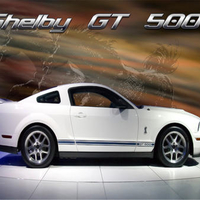 2007-Shelby 500