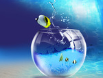 Windows 7 fish in 3d