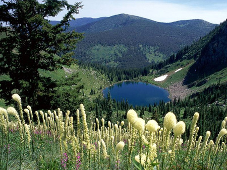 nature view - nature, view, lake, tree, flowers, mountains