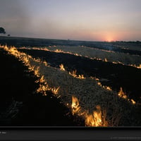 fire cleared field