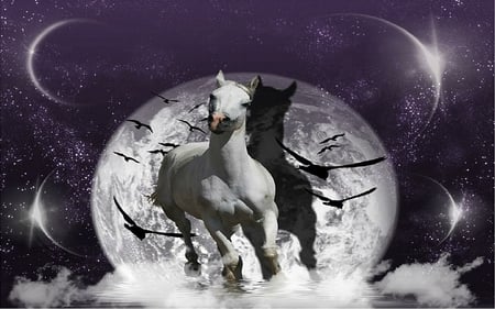 Moon Chasing..... - moon, chasing, horses