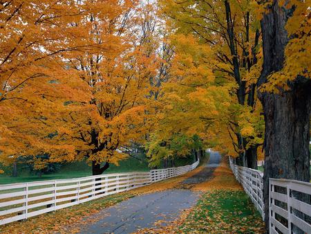 Scenic Backroad New Hampshire - fence, autumn, scenic, new hampshire, backroad