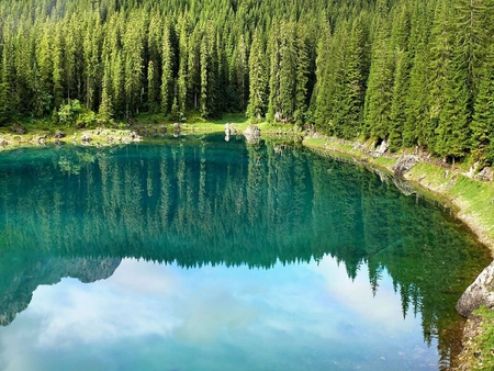 Karersee - forest, karersee