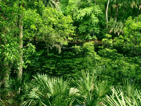 National park - landscape, river