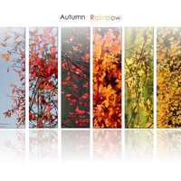 Autumn Rainbow