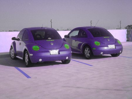 The Other Color Purple - beetle, purple, cars, volkswagen