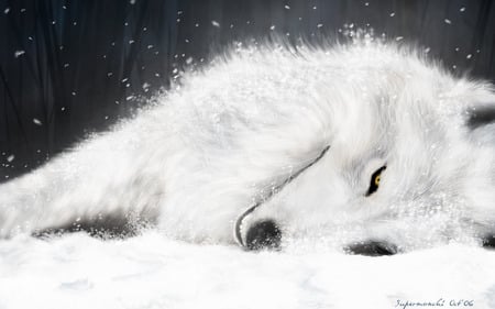 The Last Breath - white, wolf, lying, snow