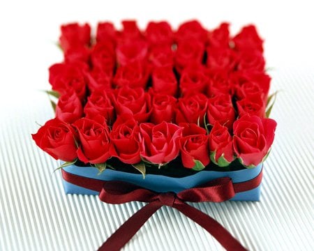 roses - valentines day, love, passion, red