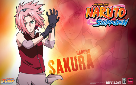 Sakura - anime, naruto