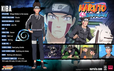 kiba - anime, naruto