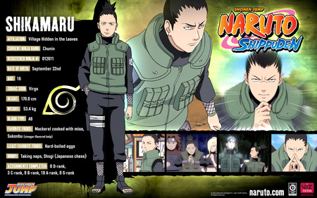 shikamaru - anime, naruto