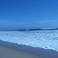 Beach and Surf