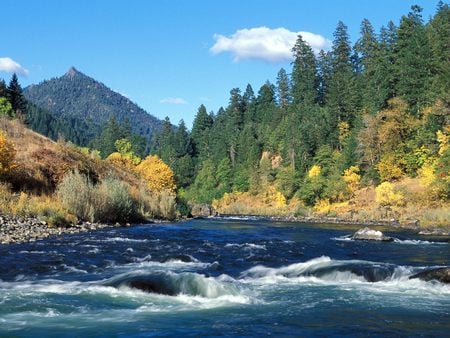 Rivers and Creeks  - river, landscape