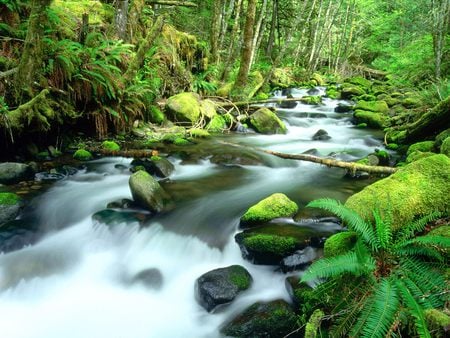 Rivers and Creeks  - river, landscape, mountain, creeks