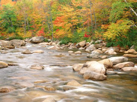 Rivers and Creeks  - creeks, mountain, landscape, river