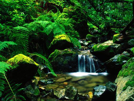 Rivers and Creeks  - river, landscape, mountain, creeks